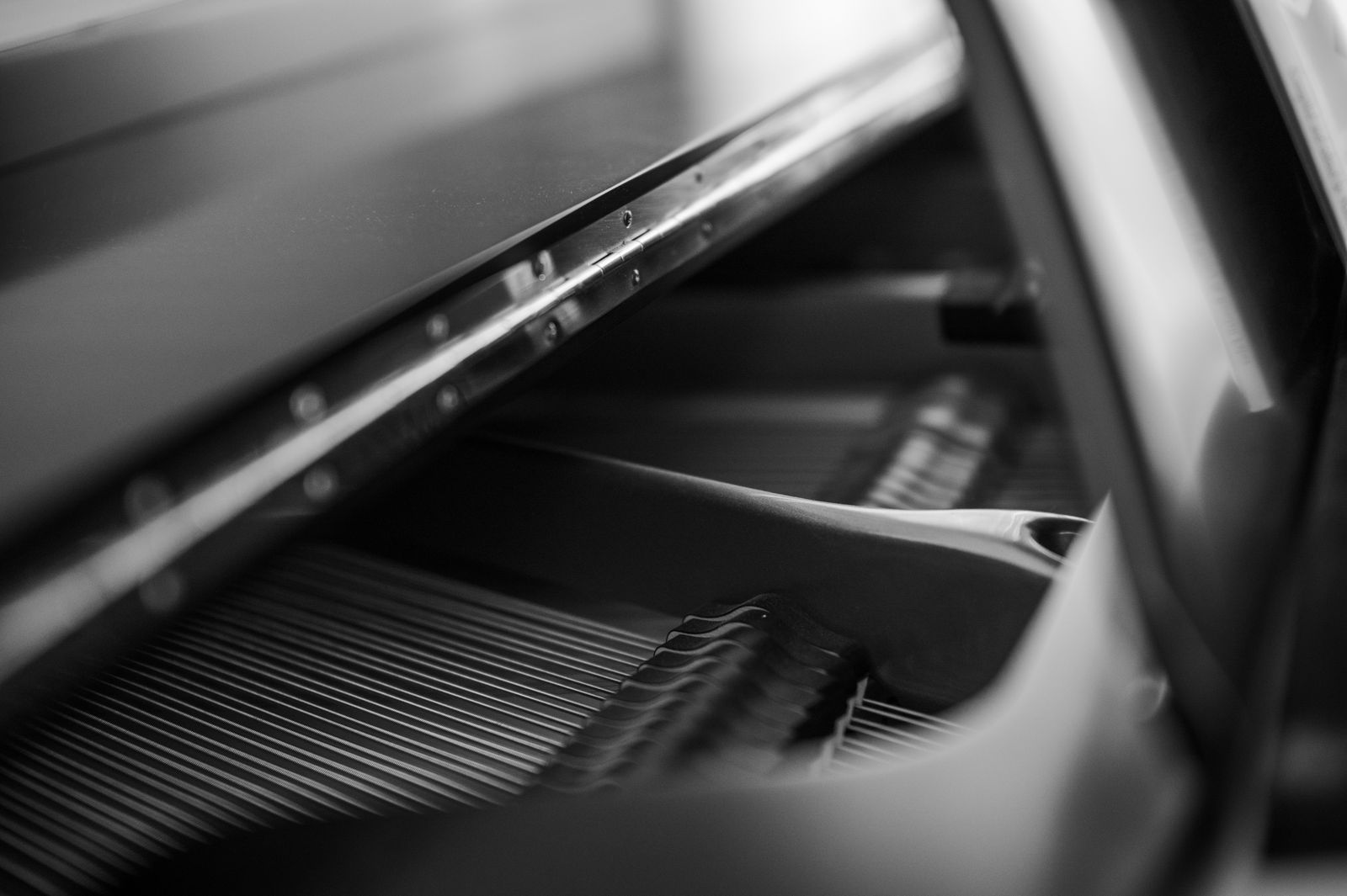 Artistic black and white photo capturing the intricate details of piano strings inside a grand piano.